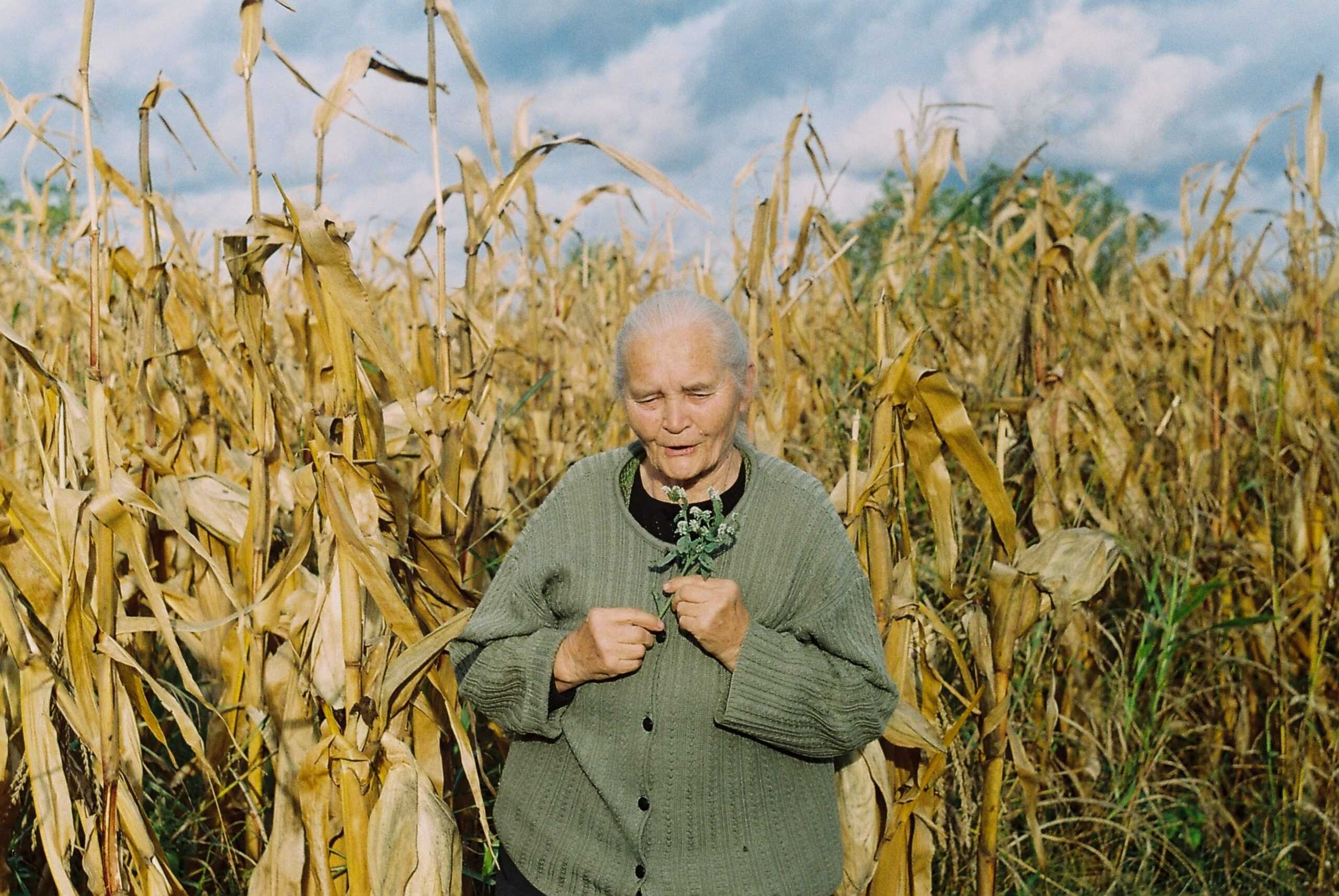 overweight senior woman in corn field